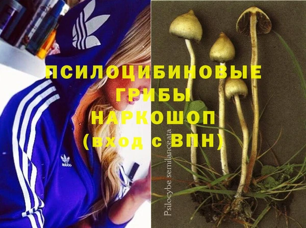бутират Балахна