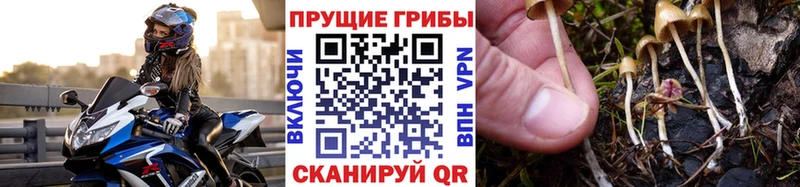 Галлюциногенные грибы MAGIC MUSHROOMS  Отрадная 