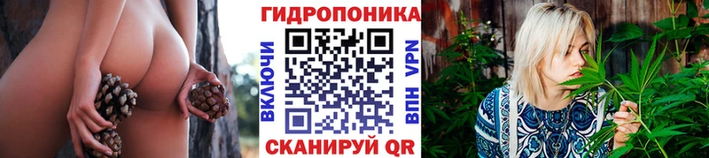 Каннабис гибрид  Отрадная 
